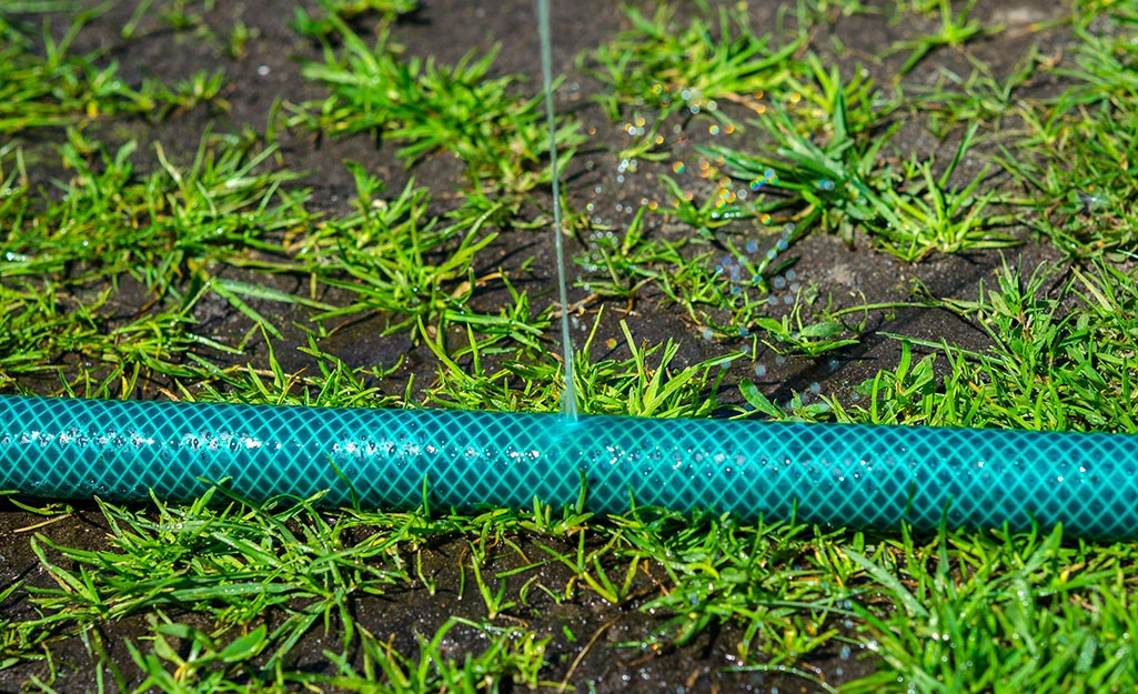 Common Reasons Your Garden Pipe Is Leaking