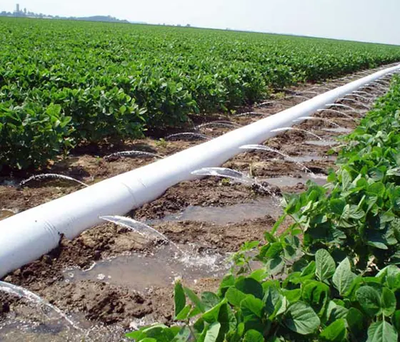 Agriculture Irrigation